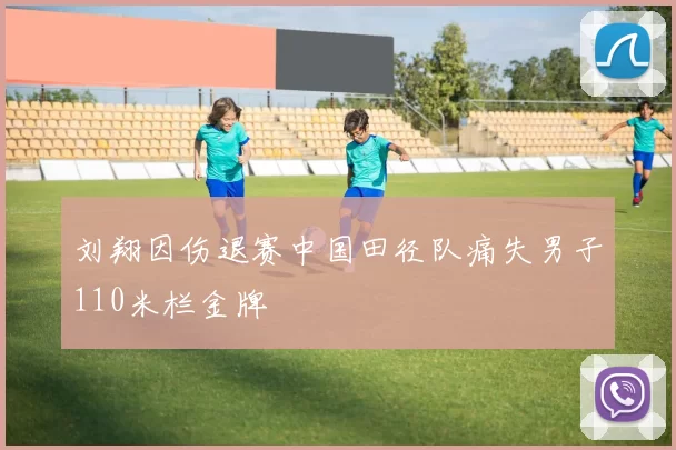 刘翔因伤退赛中国田径队痛失男子110米栏金牌